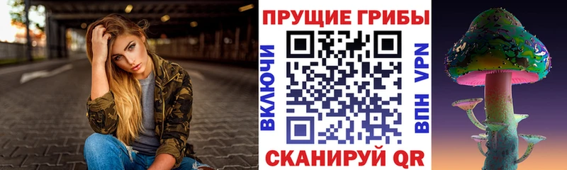 цена   Павловская  Псилоцибиновые грибы Psilocybe 